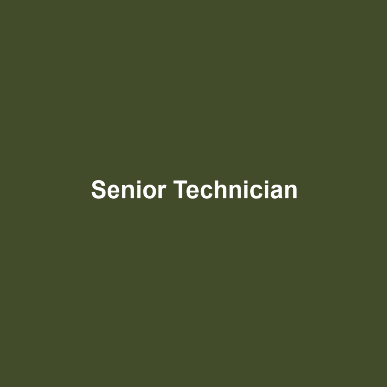 Senior Technician