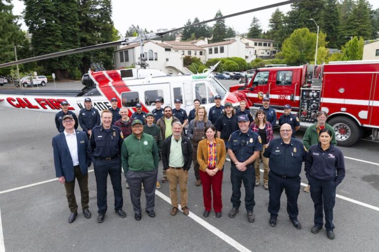 CAL Fire Internship 2024 Program for Students